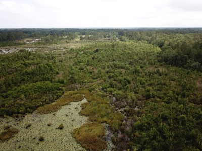 663ac Holmes County Florida Hunting Land - Deer - Turkey - image 25