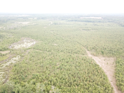 663ac Holmes County Florida Hunting Land - Deer - Turkey - image 14