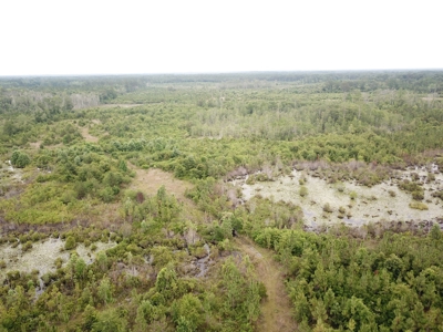 663ac Holmes County Florida Hunting Land - Deer - Turkey - image 6
