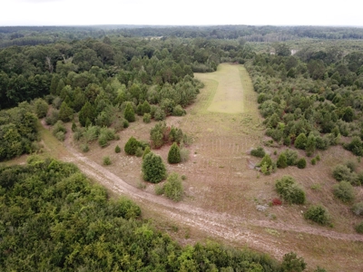 663ac Holmes County Florida Hunting Land - Deer - Turkey - image 27