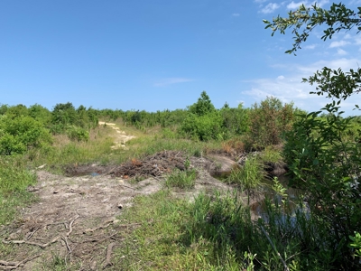 663ac Holmes County Florida Hunting Land - Deer - Turkey - image 37