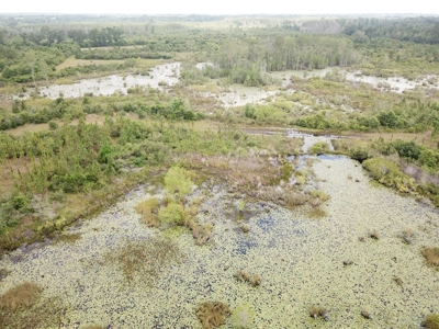 663ac Holmes County Florida Hunting Land - Deer - Turkey - image 26