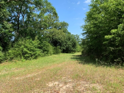 663ac Holmes County Florida Hunting Land - Deer - Turkey - image 40