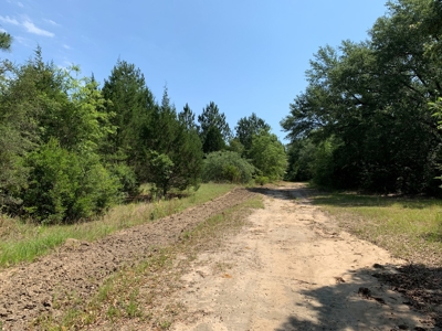 663ac Holmes County Florida Hunting Land - Deer - Turkey - image 41
