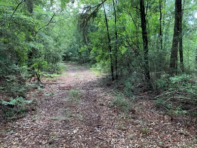663ac Holmes County Florida Hunting Land - Deer - Turkey - image 18