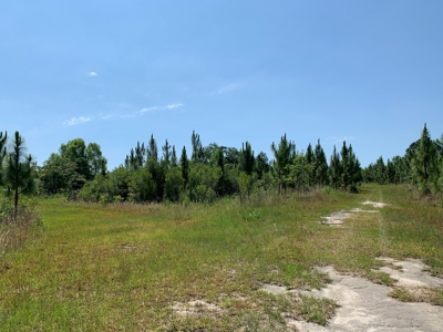 663ac Holmes County Florida Hunting Land - Deer - Turkey - image 38