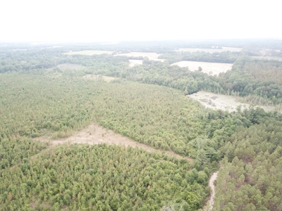 663ac Holmes County Florida Hunting Land - Deer - Turkey - image 13
