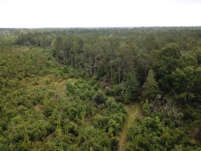 663ac Holmes County Florida Hunting Land - Deer - Turkey - image 22