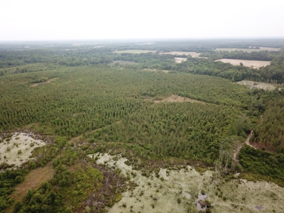 663ac Holmes County Florida Hunting Land - Deer - Turkey - image 12