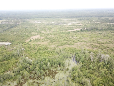 663ac Holmes County Florida Hunting Land - Deer - Turkey - image 10