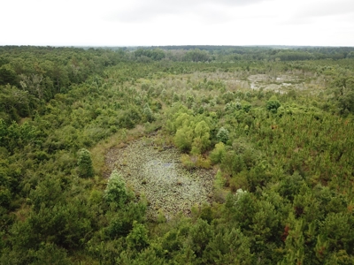 663ac Holmes County Florida Hunting Land - Deer - Turkey - image 23