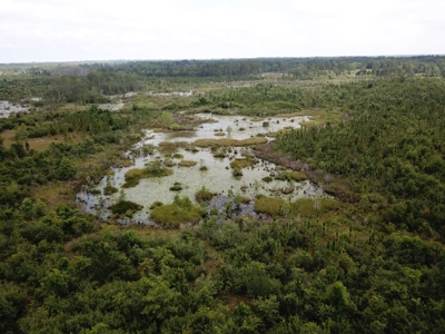 663ac Holmes County Florida Hunting Land - Deer - Turkey - image 24