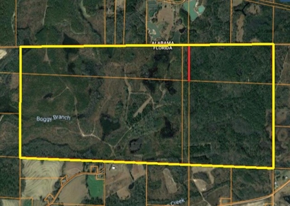 663ac Holmes County Florida Hunting Land - Deer - Turkey - image 42
