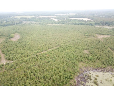 663ac Holmes County Florida Hunting Land - Deer - Turkey - image 11