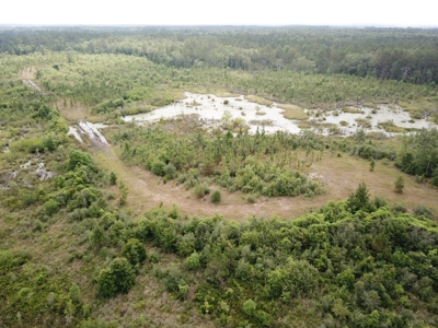 663ac Holmes County Florida Hunting Land - Deer - Turkey - image 28