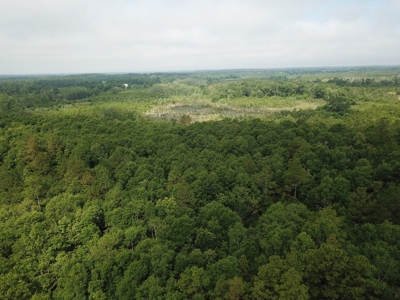 663ac Holmes County Florida Hunting Land - Deer - Turkey - image 16