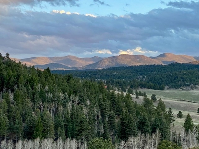 Executive Retreat Homes For Sale In Westcliffe, Co - image 24