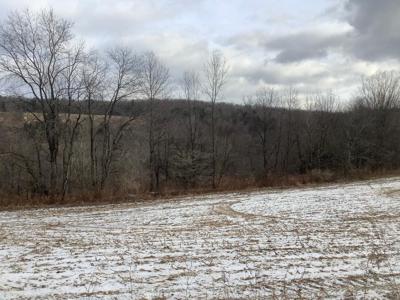 Excellent Hunting Property/ Recreational Property - image 6