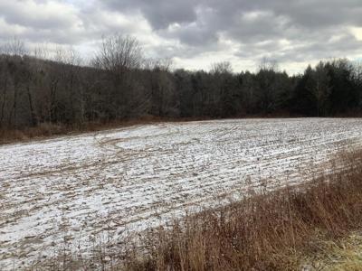 Excellent Hunting Property/ Recreational Property - image 8