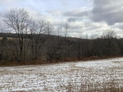 Excellent Hunting Property/ Recreational Property - image 7