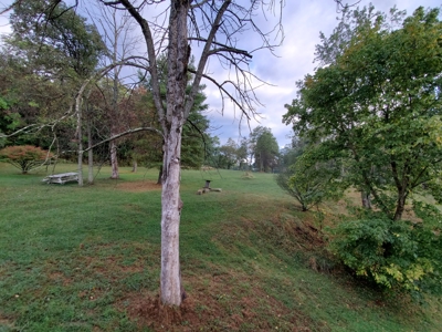 Beautiful Country Home with 32.39 Acres in Wood Co.,WV - image 15