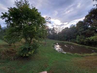 Beautiful Country Home with 32.39 Acres in Wood Co.,WV - image 9