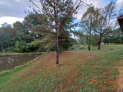 Beautiful Country Home with 32.39 Acres in Wood Co.,WV - image 14