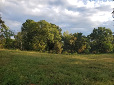 Beautiful Country Home with 32.39 Acres in Wood Co.,WV - image 6