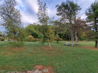 Beautiful Country Home with 32.39 Acres in Wood Co.,WV - image 17