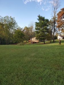 Beautiful Country Home with 32.39 Acres in Wood Co.,WV - image 23