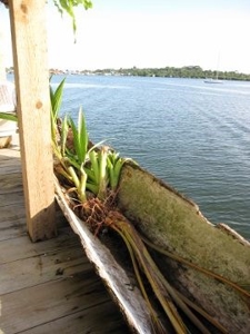 Bocas del Toro over the Sea Coastal Home in Panama - image 7