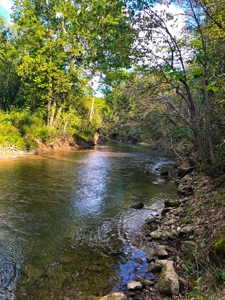 Country Home For Sale On Eleven Point River - image 26