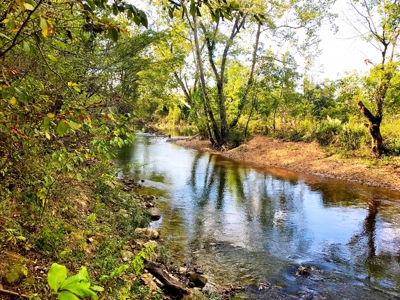 Country Home For Sale On Eleven Point River - image 24