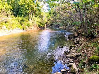 Country Home For Sale On Eleven Point River - image 25