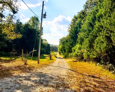 Country Home For Sale On Eleven Point River - image 27