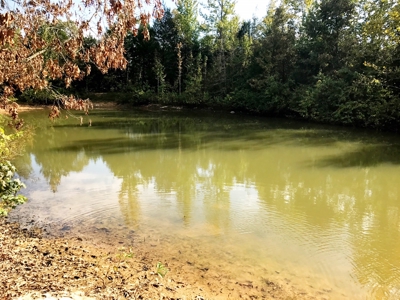Country Home For Sale On Eleven Point River - image 21