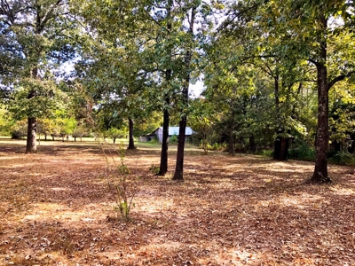 Country Home For Sale On Eleven Point River - image 23