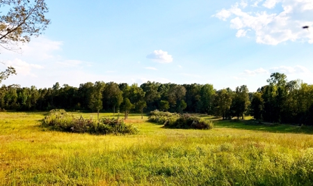 Country Home For Sale On Eleven Point River - image 22