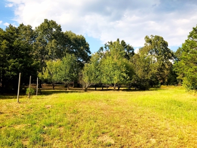 Country Home For Sale On Eleven Point River - image 20