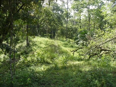 Titled Bocas del Toro Coastal Land 11.5 Acres - image 14