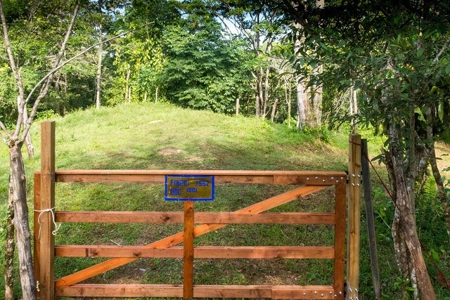 Titled Bocas del Toro Coastal Land 11.5 Acres - image 5