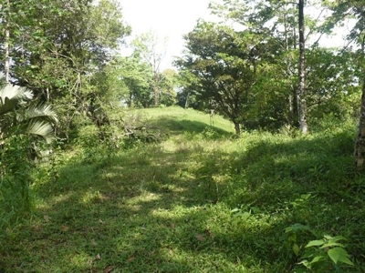 Titled Bocas del Toro Coastal Land 11.5 Acres - image 11