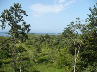 Titled Bocas del Toro Coastal Land 11.5 Acres - image 16