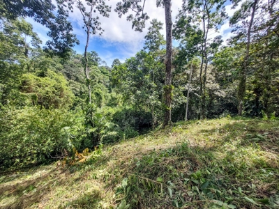 Titled Bocas del Toro Coastal Land 11.5 Acres - image 18