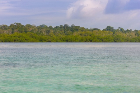 Titled Bocas del Toro Coastal Land 11.5 Acres - image 7