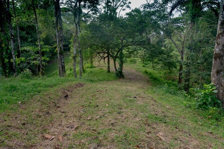 Titled Bocas del Toro Coastal Land 11.5 Acres - image 2