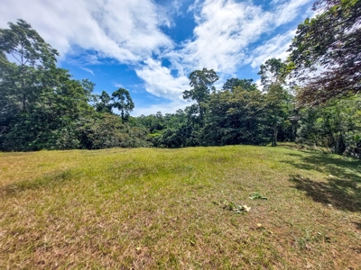 Titled Bocas del Toro Coastal Land 11.5 Acres - image 20