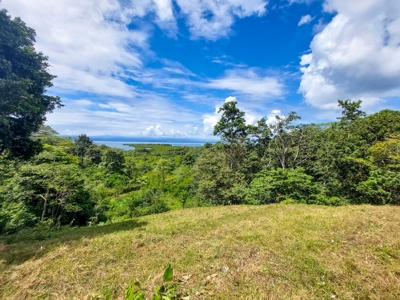 Titled Bocas del Toro Coastal Land 11.5 Acres