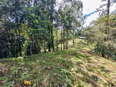 Titled Bocas del Toro Coastal Land 11.5 Acres - image 17