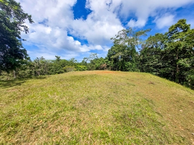 Titled Bocas del Toro Coastal Land 11.5 Acres - image 22